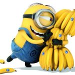 Minions (Миньоны Гадкий Я) — Banana Boom Boom_628c8e17a548f.jpeg