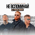 Рингтон Не вспоминай (NILETTO, Олег Майами, Лёша Свик)